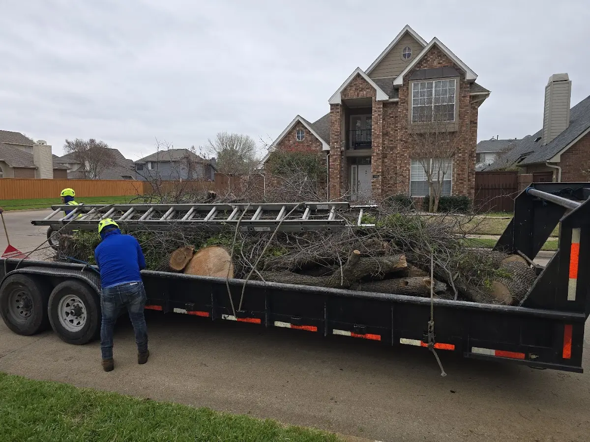 Expert Tree Pest Control with proper safety equipment in Umbarger